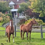 Bed & Breakfast Whitaker Swinford